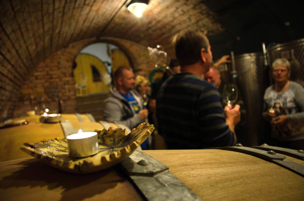 Degustace vína ve sklepě